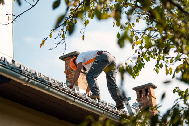 Quick and Trustworthy Emergency Roof Repair Services in Falls City, OR