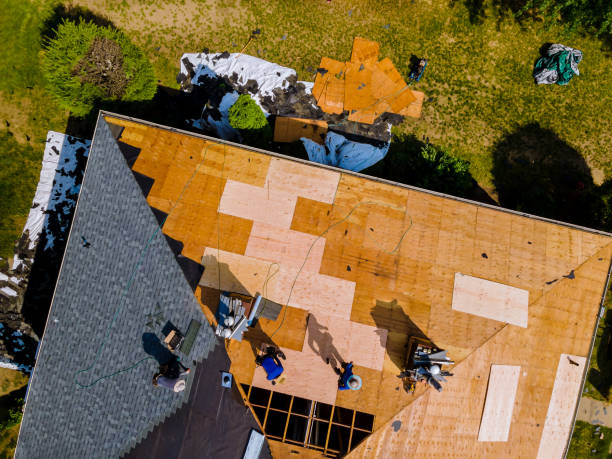 Best New Roof Installation  in Falls City, OR
