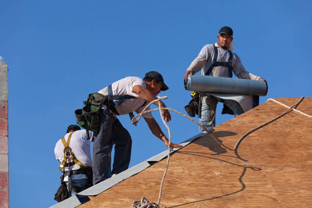 Best Roof Replacement Cost  in Falls City, OR